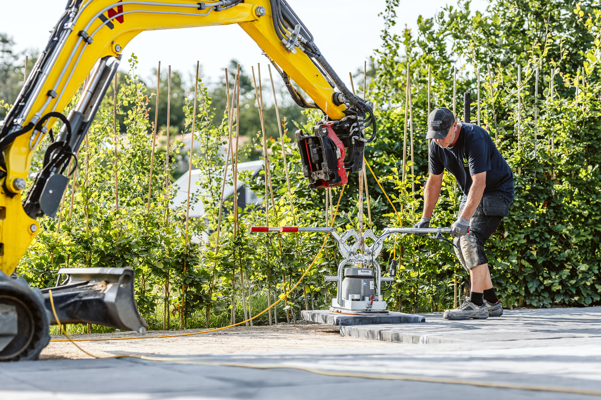 Gröna blommor diplom man glad årets unga företagare